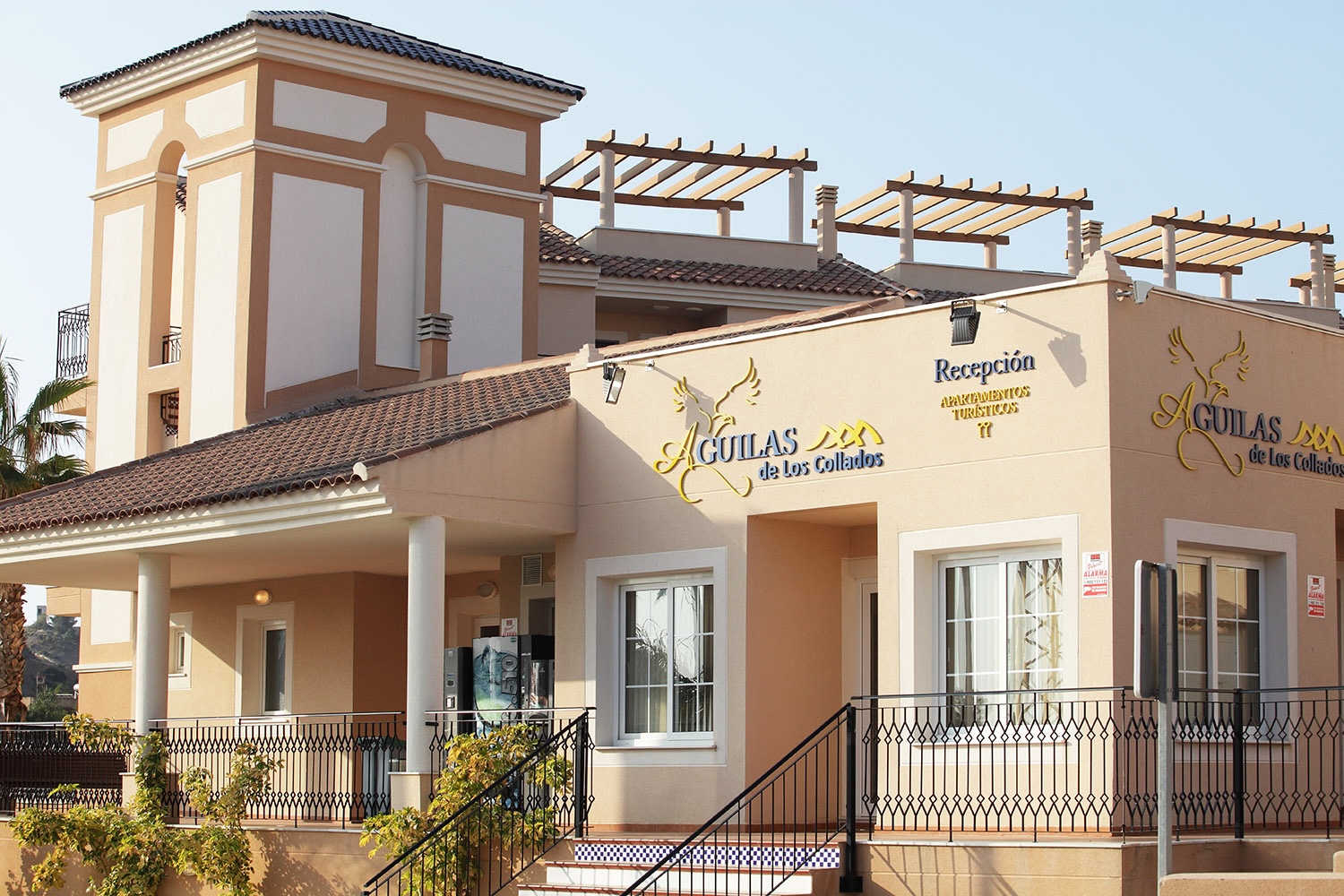 Contacto Águilas de los Collados